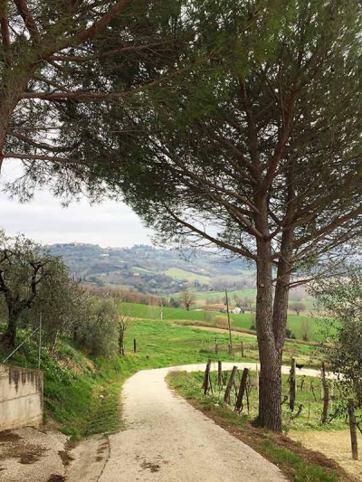 Holidays in Paradiso Integral in Umbria, Italy